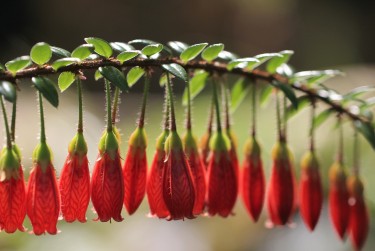 肇庆高要区1私人快速借钱网，轻松解决资金难题