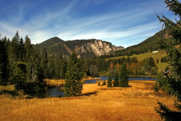 肇庆高要区1民间私贷攻略：揭秘低成本借贷的秘密