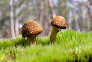 肇庆高要区1私人老板放款：轻松融资的秘密通道